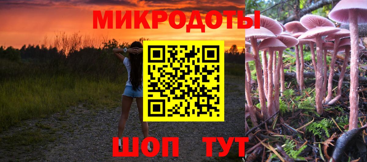 Галлюциногенные грибы прущие грибы Мончегорск